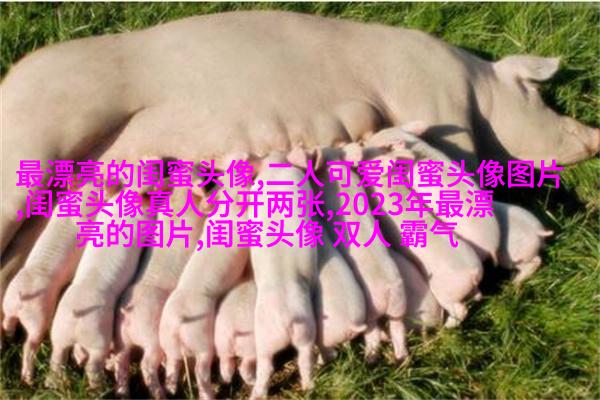闺蜜头像霸气高冷两张冷酷(22张)