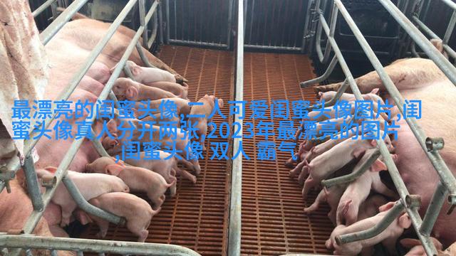 闺蜜头像霸气高冷两张冷酷(22张)