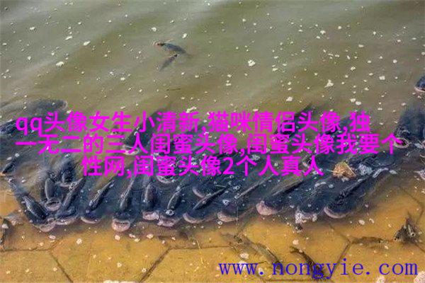 qq闺蜜头像一对两张带字_吵不散的闺蜜