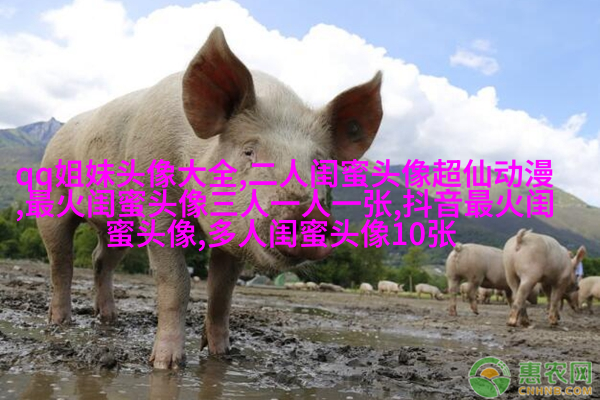 发射爱心闺蜜头像一对两张(精选20张)