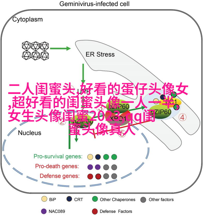 闺蜜头像一对两张霸气带字