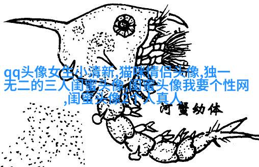 qq闺蜜头像一对两张带字_吵不散的闺蜜