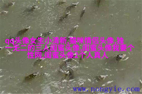 qq闺蜜头像一对两张带字_吵不散的闺蜜