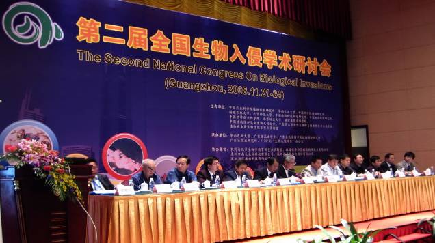 女生海边头像背影图片(26张)