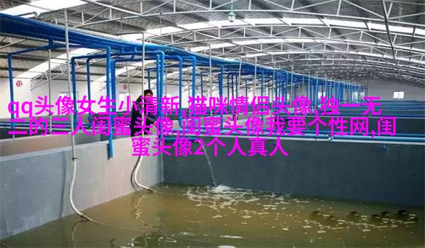 qq闺蜜头像一对两张带字_吵不散的闺蜜