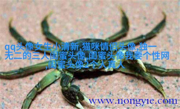qq闺蜜头像一对两张带字_吵不散的闺蜜