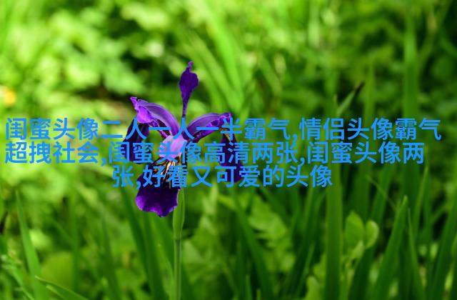 超级仙气干净的闺蜜头像(16张)
