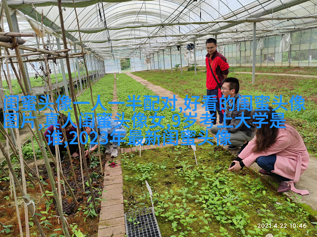 闺蜜头像动漫一人一张(精选20张)