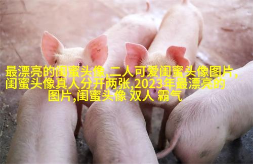 闺蜜头像霸气高冷两张冷酷(22张)