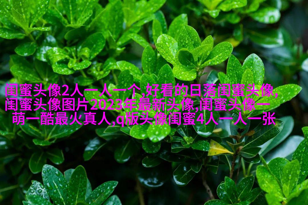 最好看的两人闺蜜头像(精选22张)