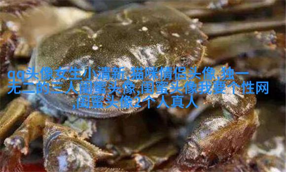 qq闺蜜头像一对两张带字_吵不散的闺蜜