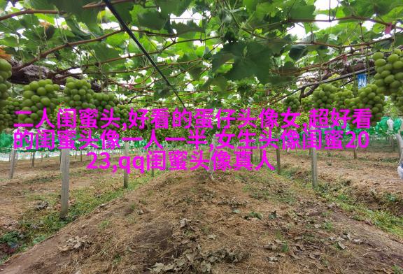 闺蜜头像一对两张霸气带字