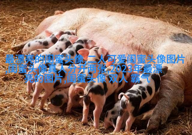 闺蜜头像霸气高冷两张冷酷(22张)