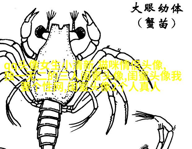 qq闺蜜头像一对两张带字_吵不散的闺蜜