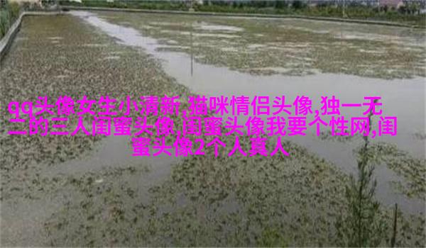 qq闺蜜头像一对两张带字_吵不散的闺蜜