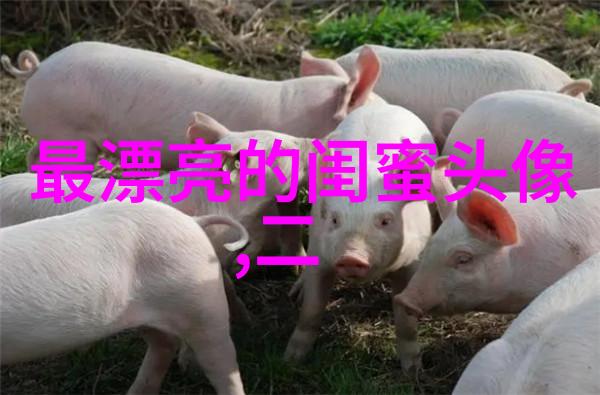 闺蜜头像霸气高冷两张冷酷(22张)