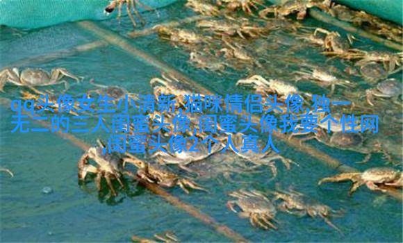 qq闺蜜头像一对两张带字_吵不散的闺蜜