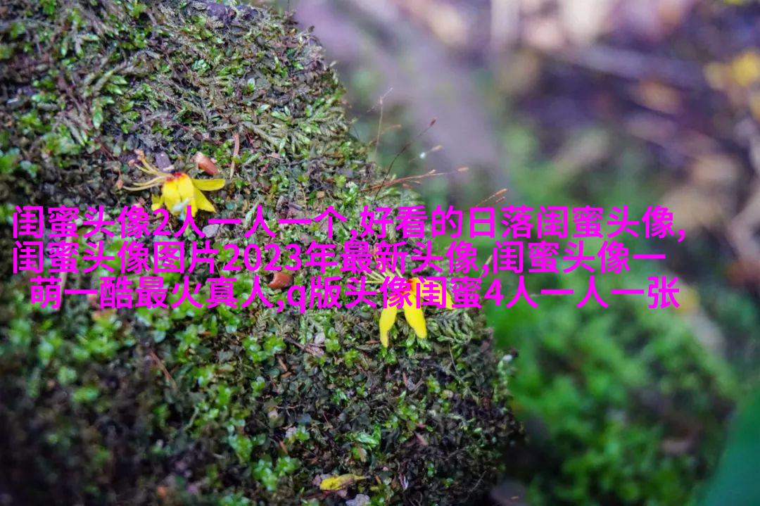 最好看的两人闺蜜头像(精选22张)