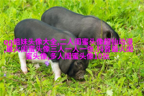 发射爱心闺蜜头像一对两张(精选20张)