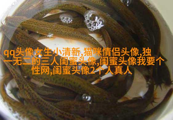 qq闺蜜头像一对两张带字_吵不散的闺蜜